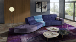 Delfino__R9A0574 AMB